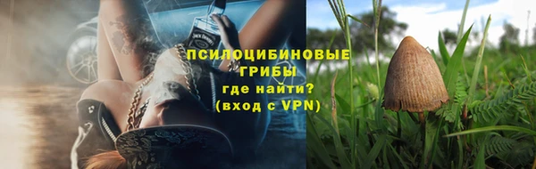 дмт Арсеньев