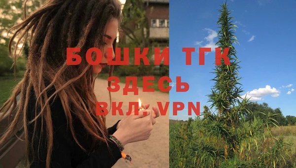 не бодяженный Каменск-Шахтинский