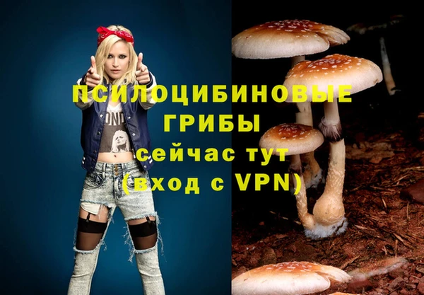 марки nbome Балабаново