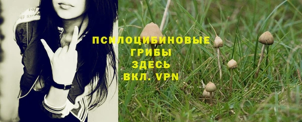 mix Баксан