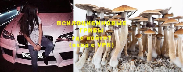твердый Балахна