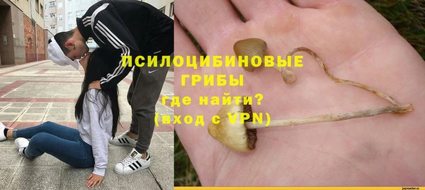 твердый Балахна