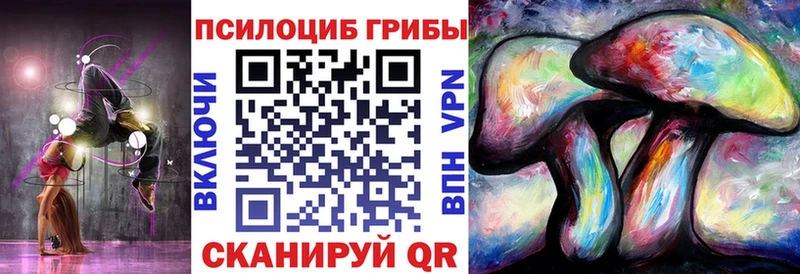 Галлюциногенные грибы Cubensis  как найти закладки  Саяногорск 
